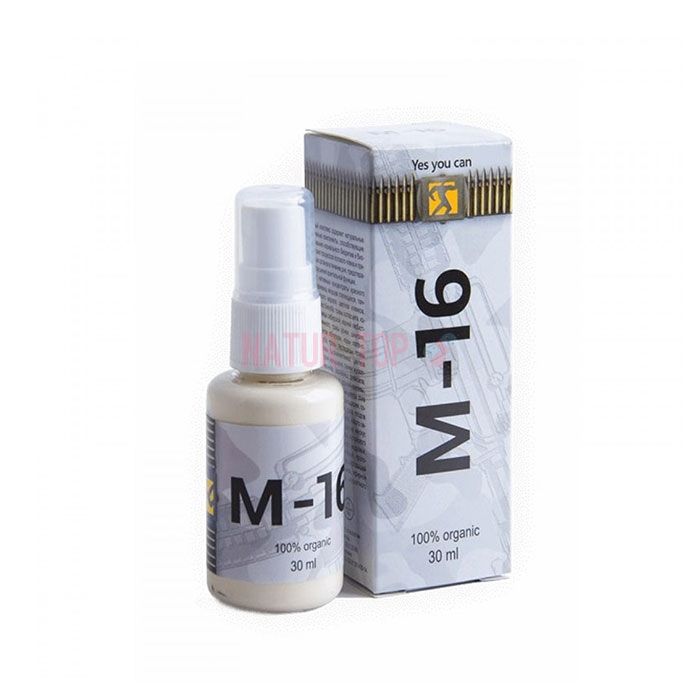 ⚜ M-16 remedy for potency