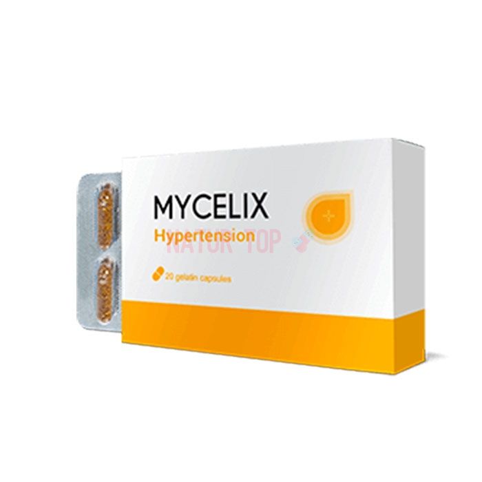 ⚜ Mycelix Heilmittel gegen Bluthochdruck